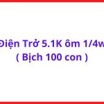 Điện Trở 5.1K Ohm 1/4W, Gói 100 Con, Điện Trở Cắm Chân Thông Dụng, Dùng Cho Sửa Máy Hàn, Board Mạch, Điều Khiển Điện Tử, Robotics Và Nghiên Cứu Thực Hành