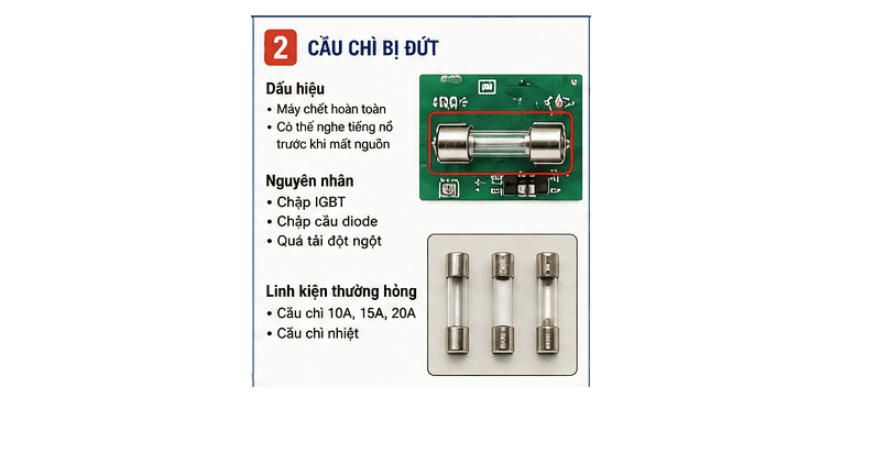 dut-cau-chi-2-1