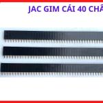 Jắc Ghim Cái 40 Chân, Đầu Nối Bo Mạch Điện Tử Chuyên Dụng, Socket 40 Pin Dùng Cho Máy Hàn Inverter, Bo Điều Khiển Công Nghiệp, Hỗ Trợ Kết Nối Tín Hiệu Ổn Định Và Dễ Dàng Thay Thế Khi Sửa Chữa
