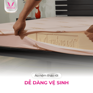 Nệm Cao Su Thiên Nhiên SiSi Advance Thắng Lợi, độ bền vượt trội, kháng khuẩn, thoáng khí, bảo hành chính hãng, thiết kế hiện đại, phù hợp phòng ngủ cao cấp, nâng cao chất lượng giấc ngủ, giảm áp lực cơ thể, hỗ trợ sức khỏe toàn diện