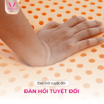 Nệm Cao Su Thiên Nhiên SuSu Original Thắng Lợi, đàn hồi tuyệt đối, kháng khuẩn tự nhiên, thoáng mát, bảo hành chính hãng 15 năm, nâng đỡ cơ thể, giảm đau lưng, giấc ngủ ngon, phù hợp gia đình, văn phòng, khách sạn cao cấp.