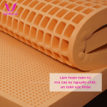 Nệm Cao Su Thiên Nhiên SuSu Original Thắng Lợi, đàn hồi tuyệt đối, kháng khuẩn tự nhiên, thoáng mát, bảo hành chính hãng 15 năm, nâng đỡ cơ thể, giảm đau lưng, giấc ngủ ngon, phù hợp gia đình, văn phòng, khách sạn cao cấp.