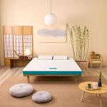 Nệm Aeroflow Standard Nhật Bản, Foam Mixel Cube sáng chế độc quyền, nâng đỡ cơ thể, giảm áp lực, áo nệm đa tầng thoáng khí, khóa kéo tiện lợi, chứng nhận quốc tế, giấc ngủ sâu, an toàn tuyệt đối cho sức khỏe