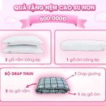 Nệm Cao Su Non Thắng Lợi Hỗ Trợ Sức Khỏe, Êm Ái Thoáng Khí Giảm Áp Lực, Hàng Trăm Lỗ Thông Hơi Thông Minh, Hoàn Hảo Cho Người Đau Xương Khớp Trẻ Em, Bảo Hành 15 Năm