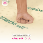 Nệm Cao Su Non Thắng Lợi Hỗ Trợ Sức Khỏe, Êm Ái Thoáng Khí Giảm Áp Lực, Hàng Trăm Lỗ Thông Hơi Thông Minh, Hoàn Hảo Cho Người Đau Xương Khớp Trẻ Em, Bảo Hành 15 Năm