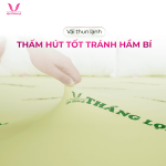 Nệm Cao Su Non Thắng Lợi Hỗ Trợ Sức Khỏe, Êm Ái Thoáng Khí Giảm Áp Lực, Hàng Trăm Lỗ Thông Hơi Thông Minh, Hoàn Hảo Cho Người Đau Xương Khớp Trẻ Em, Bảo Hành 15 Năm