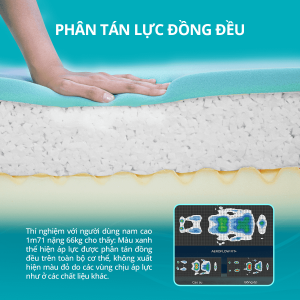 Aeroflow Fit Plus nệm foam Nhật Bản, thiết kế phân tầng 3 lớp, memory foam ôm sát cơ thể, phân tán nhiệt, thoáng khí vượt trội, nâng đỡ toàn diện, giấc ngủ mát lành, chất lượng bền bỉ, giải pháp tối ưu cho sức khỏe giấc ngủ