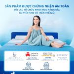 Nệm foam Aeroflow Pride, công nghệ Adaptive Foam như trợ lý giấc ngủ, Mixel Cube thoáng khí, áo nệm SEAQUAL™ YARN chống nước kháng khuẩn, Contour cutting điều chỉnh độ cứng mềm, mang đến giấc ngủ sâu và thoải mái.