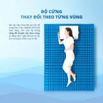 Nệm foam Aeroflow Pride, công nghệ Adaptive Foam như trợ lý giấc ngủ, Mixel Cube thoáng khí, áo nệm SEAQUAL™ YARN chống nước kháng khuẩn, Contour cutting điều chỉnh độ cứng mềm, mang đến giấc ngủ sâu và thoải mái.