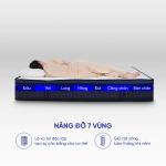 Nệm lò xo Amando Innovation, công nghệ RevoFeel cá nhân hóa, khung lò xo túi 7 vùng, memory foam gel kháng khuẩn, cao su thiên nhiên thoáng khí, nâng đỡ xương khớp, giấc ngủ cân bằng và thoải mái.