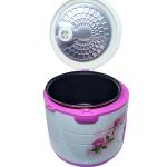 Nồi Cơm Điện BigSun BR,25 Nắp Gài 2.5L Cho Gia Đình, Nấu Cơm Nhanh, Giữ Ấm Lâu, Thiết Kế Cao Cấp, Dễ Sử Dụng, Chất Lượng Chính Hãng BigSun