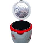 Nồi Cơm Điện Nắp Gài 3.0L BR-30 BigSun Giá Rẻ, Công Suất 700W Nấu Nhanh 25 Phút Cơm Dẻo Thơm Cho 5-8 Người, Mâm Nhiệt Lớn Tản Đều Nhiệt Độ Giữ Dinh Dưỡng Trọn Vẹn Không Nhão Nát, Ruột Nhôm Hợp Kim Chống Dính Dễ Vệ Sinh Siêu Tiện Lợi